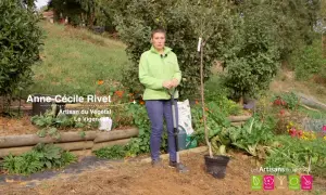 Anne-Cécile Rivet, Artisan du Végétal, montre comment planter un cerisier. Elle tient une pelle près d'un jeune arbre en pot.