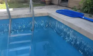 Une algue blanche s'est développée sur les parois de la piscine, formant des filaments étranges. Une épuisette bleue repose sur le bord.