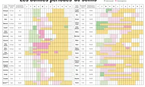 Calendrier des semis pour cultiver vos légumes de saison. Planifiez vos plantations pour un potager réussi.
