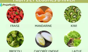 Fraises, mandarines, kiwis, brocolis, endives et laitues : un assortiment de fruits et légumes d'hiver en France.
