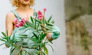 Une femme aux cheveux bouclés arrose un laurier rose en hiver, ses mains gantées de vert tenant un vaporisateur.