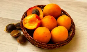 Abricots mûrs dans un panier, avec des noyaux à côté. Une idée pour savoir comment faire pousser un noyau d'abricot.