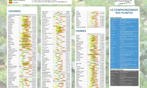 Calendrier de floraison des arbres fruitiers : ce tableau présente les semis, récoltes et écartements pour de nombreux légumes, herbes et fruits.