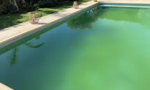 Piscine envahie par des algues vertes, signe d'un traitement au sel défaillant. Des lanternes en rotin décorent la margelle.
