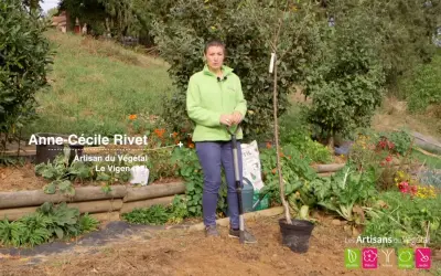 Anne-Cécile Rivet, Artisan du Végétal, montre comment planter un cerisier. Elle tient une pelle près d'un jeune arbre en pot.