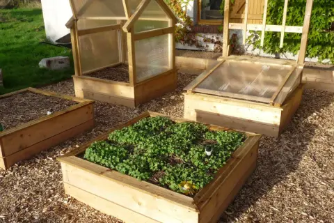 Un espace aménagé pour faire un potager avec des bacs en bois, certains couverts de paillis, d'autres de jeunes pousses vertes.