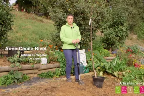 Anne-Cécile Rivet, Artisan du Végétal, montre comment planter un cerisier. Elle tient une pelle près d'un jeune arbre en pot.