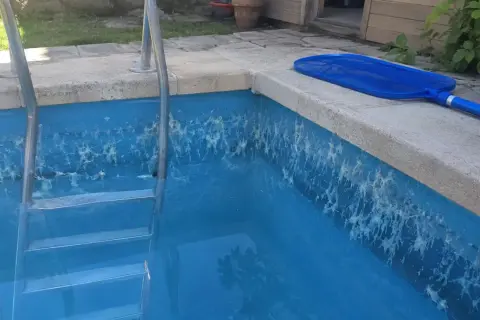 Une algue blanche s'est développée sur les parois de la piscine, formant des filaments étranges. Une épuisette bleue repose sur le bord.