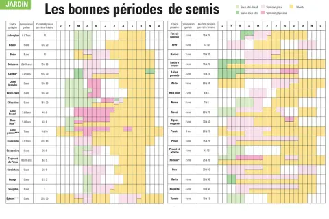 Calendrier des semis pour cultiver vos légumes de saison. Planifiez vos plantations pour un potager réussi.