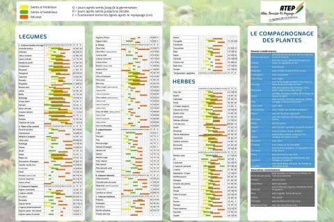 Calendrier de floraison des arbres fruitiers : ce tableau présente les semis, récoltes et écartements pour de nombreux légumes, herbes et fruits.