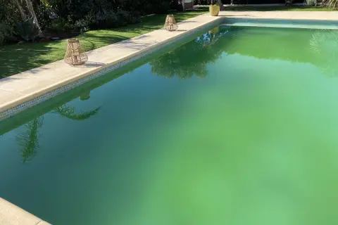 Piscine envahie par des algues vertes, signe d'un traitement au sel défaillant. Des lanternes en rotin décorent la margelle.