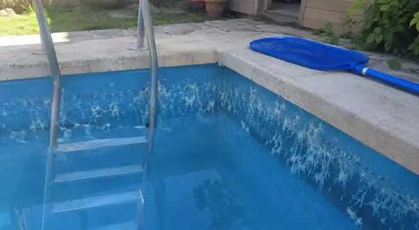 Une algue blanche s'est développée sur les parois de la piscine, formant des filaments étranges. Une épuisette bleue repose sur le bord.