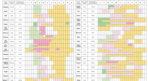 Calendrier des semis pour cultiver vos légumes de saison. Planifiez vos plantations pour un potager réussi.