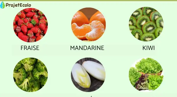 Fraises, mandarines, kiwis, brocolis, endives et laitues : un assortiment de fruits et légumes d'hiver en France.