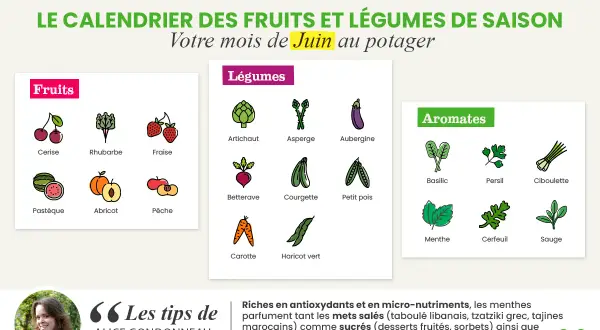 Calendrier des fruits et légumes de saison : votre mois de juin au potager. Cerises, fraises, pastèques, artichauts, courgettes, menthe, basilic...