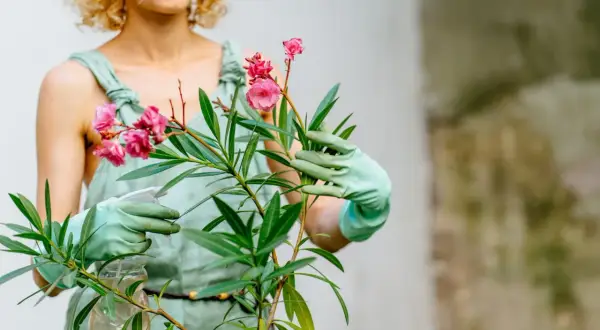 Une femme aux cheveux bouclés arrose un laurier rose en hiver, ses mains gantées de vert tenant un vaporisateur.