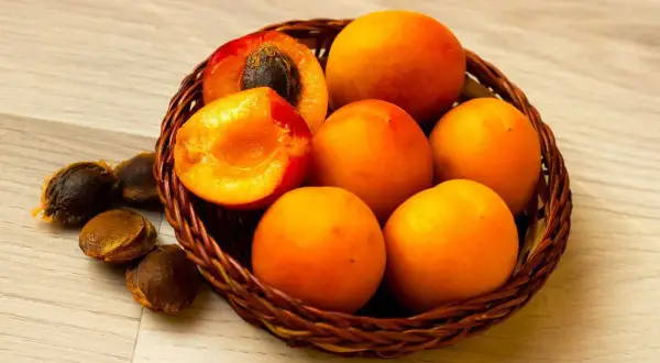 Abricots mûrs dans un panier, avec des noyaux à côté. Une idée pour savoir comment faire pousser un noyau d'abricot.
