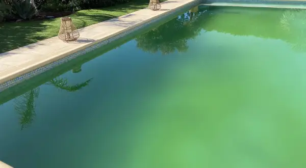 Piscine envahie par des algues vertes, signe d'un traitement au sel défaillant. Des lanternes en rotin décorent la margelle.