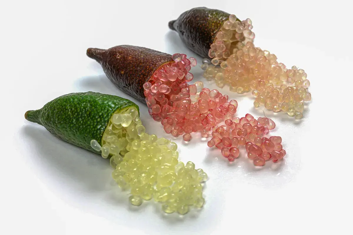 Trois citrons caviar ou finger limes ouverts révèlent leurs perles juteuses, jaunes, roses et orangées, prêtes à éclater en bouche.