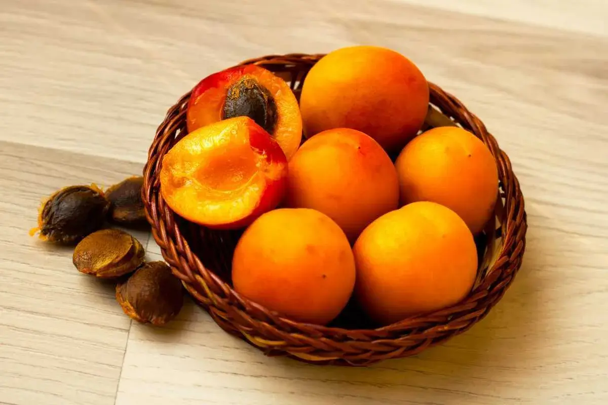Abricots mûrs dans un panier, avec des noyaux à côté. Une idée pour savoir comment faire pousser un noyau d'abricot.