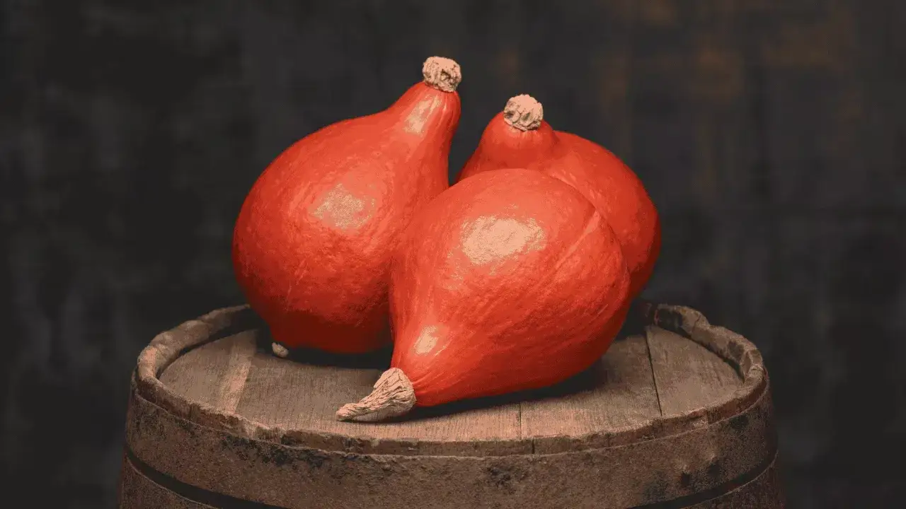 Trois potimarrons orang&eacute;s reposent sur un vieux tonneau en bois. Ils sont pr&ecirc;ts pour une longue dur&eacute;e conservation potimarron.