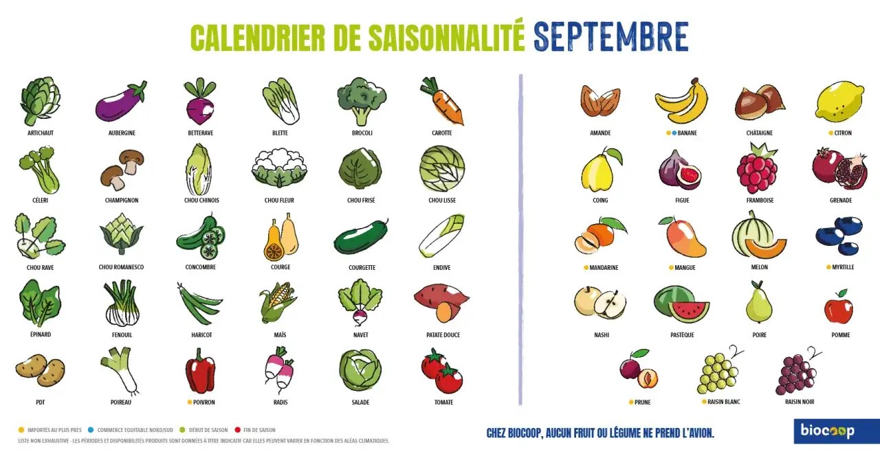 Calendrier de saisonnalité : découvrez quoi planter en septembre avec des illustrations de fruits et légumes comme les courges, les poireaux et les radis.