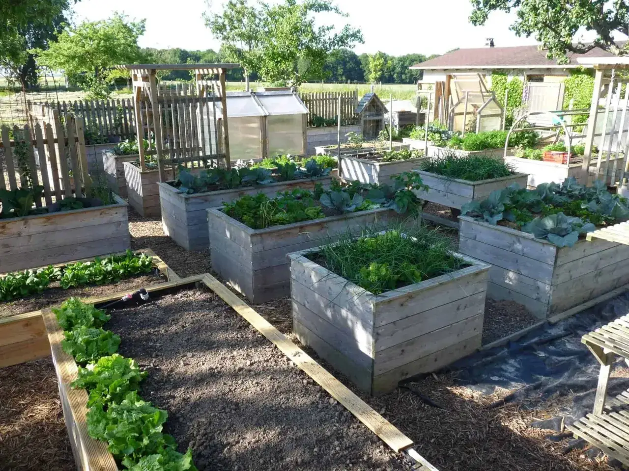 Un magnifique potager surélevé avec des légumes variés. Idéal pour faire un potager, même dans un petit espace.