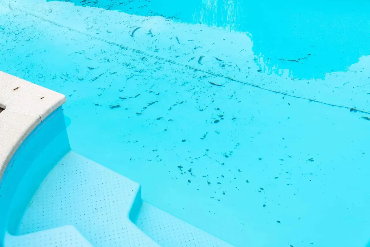 Des algues piscine au sel flottent à la surface de l'eau bleue, près des marches d'un escalier de piscine.