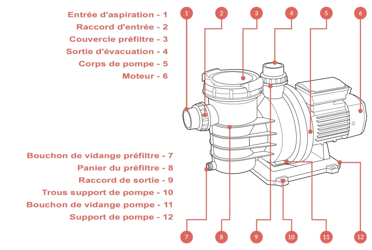Schéma d'une pompe de piscine. Le moteur (6) fait du bruit mais ne tourne pas, peut-être un problème avec le corps de pompe (5) ou le raccord d'entrée (2).