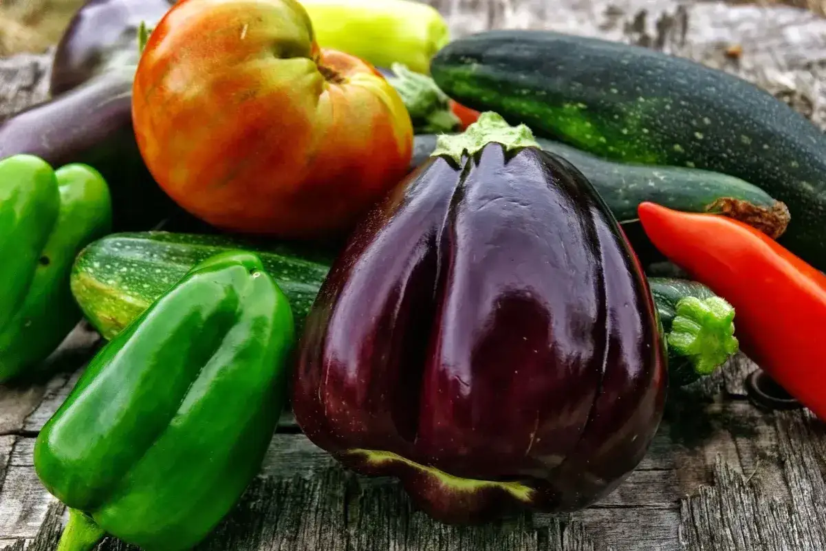 Un assortiment color&eacute; de l&eacute;gumes de saison : aubergines, poivrons verts, courgettes, une tomate et un piment rouge, dispos&eacute;s sur un fond en bois.