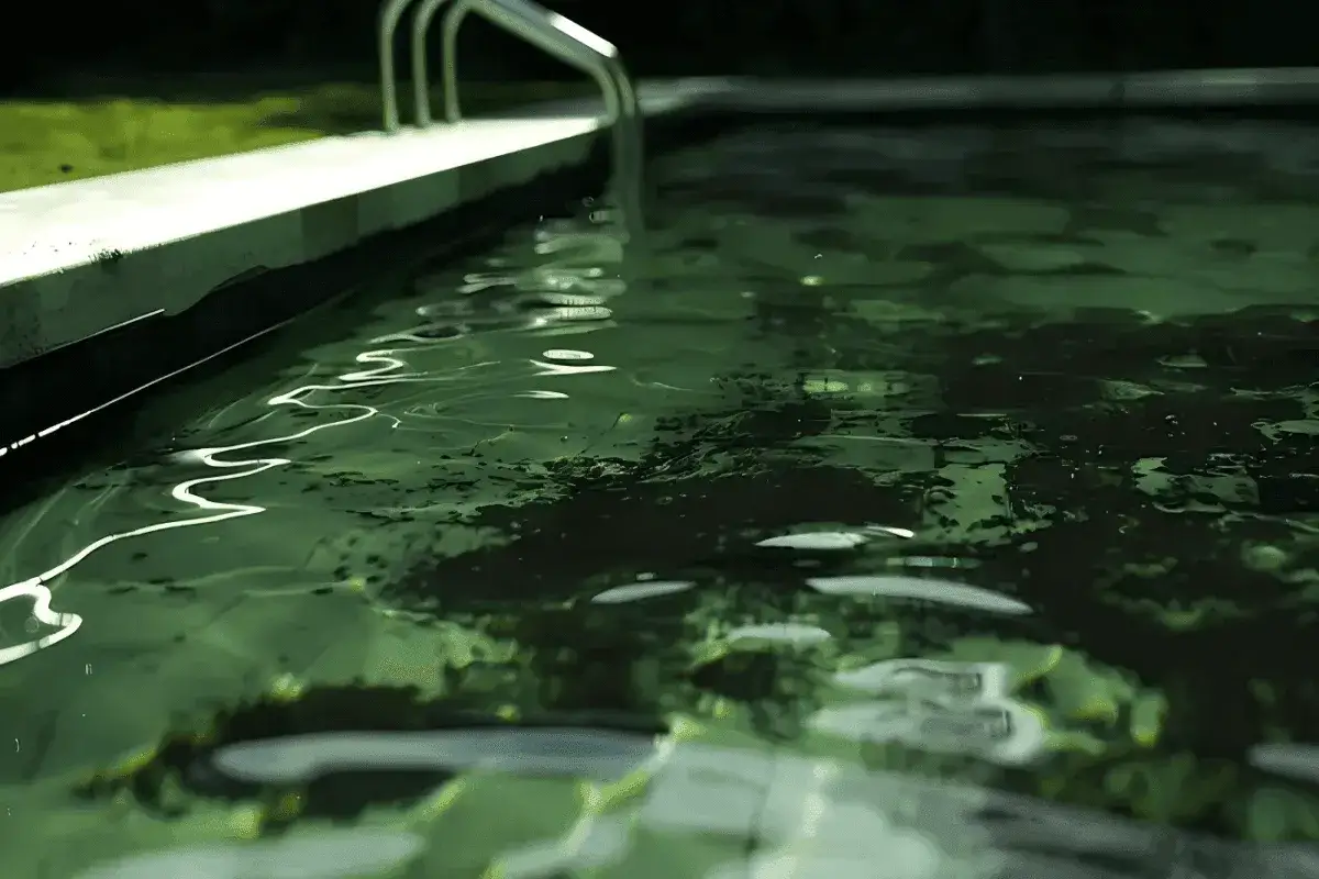 L'eau d'une piscine est trouble, avec des algues noires flottant à la surface. Une échelle de piscine est visible sur le côté.