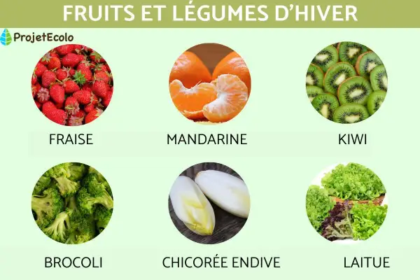 Fraises, mandarines, kiwis, brocolis, endives et laitues : un assortiment de fruits et légumes d'hiver en France.