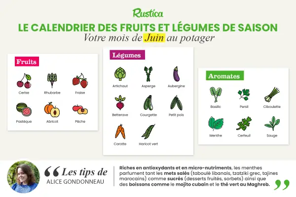 Calendrier des fruits et légumes de saison : votre mois de juin au potager. Cerises, fraises, pastèques, artichauts, courgettes, menthe, basilic...