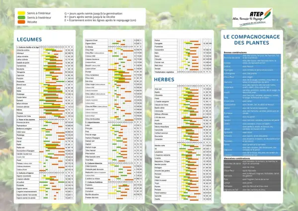 Calendrier de floraison des arbres fruitiers : ce tableau présente les semis, récoltes et écartements pour de nombreux légumes, herbes et fruits.