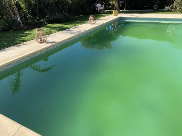 Piscine envahie par des algues vertes, signe d'un traitement au sel défaillant. Des lanternes en rotin décorent la margelle.